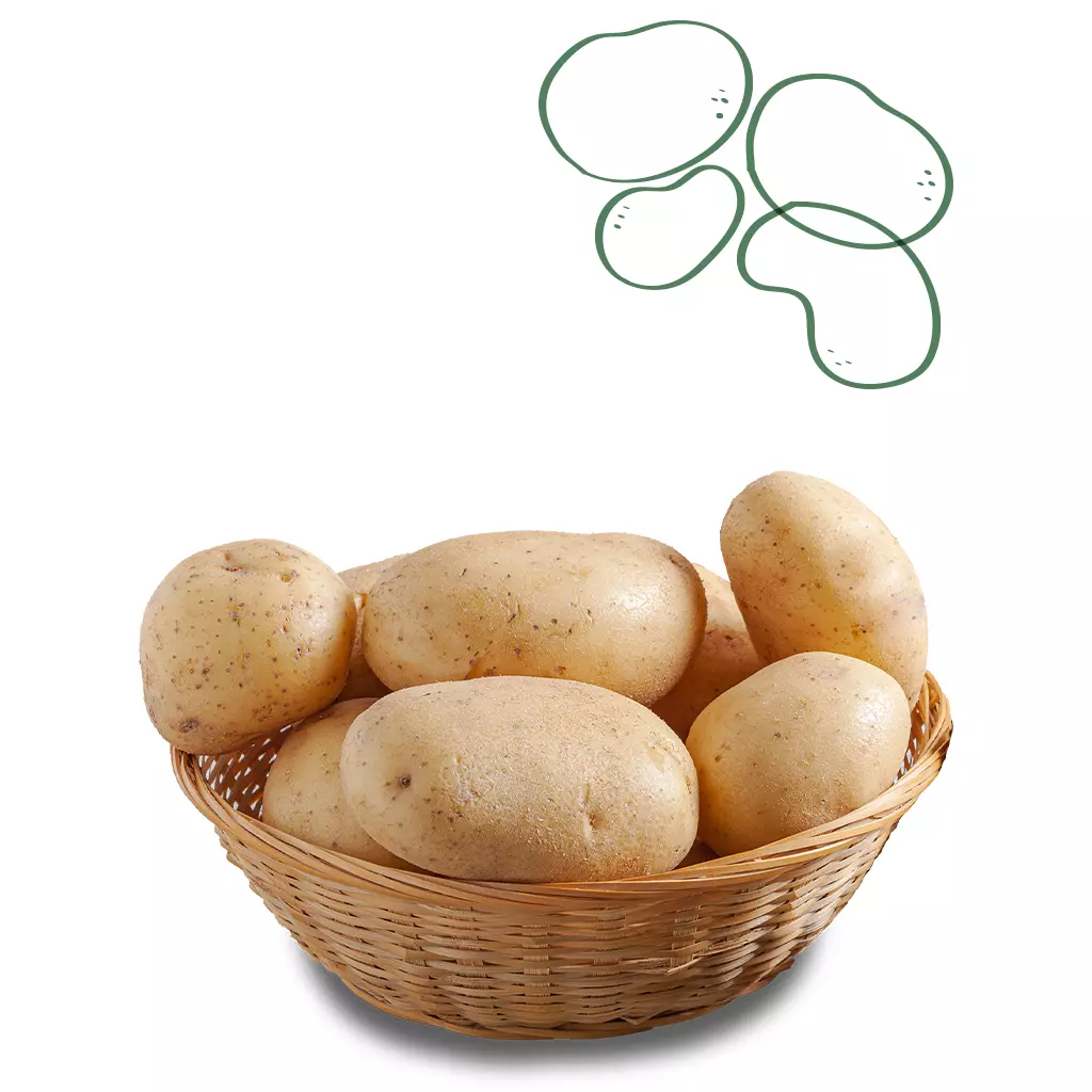 Canasta papas