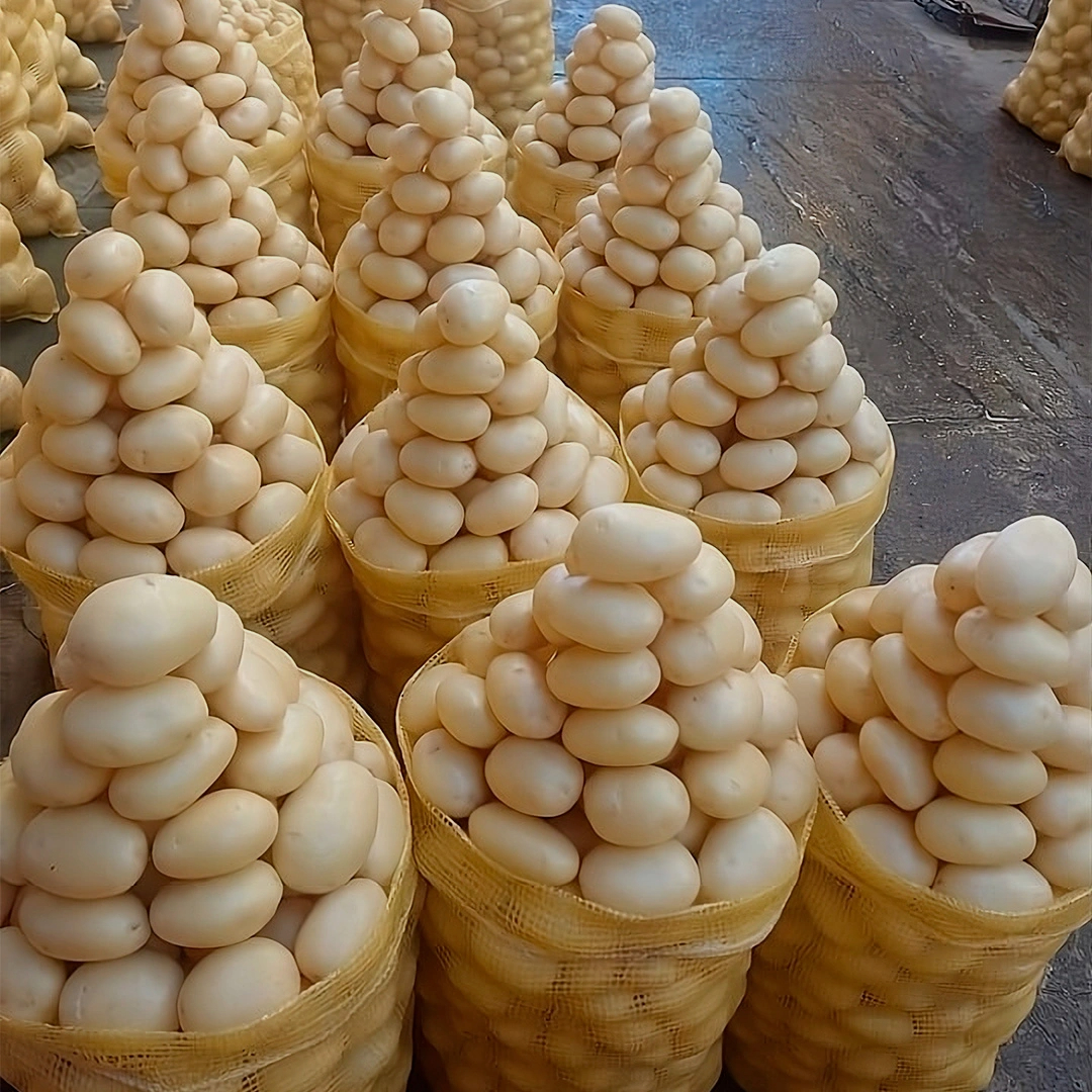 Sacos de papas